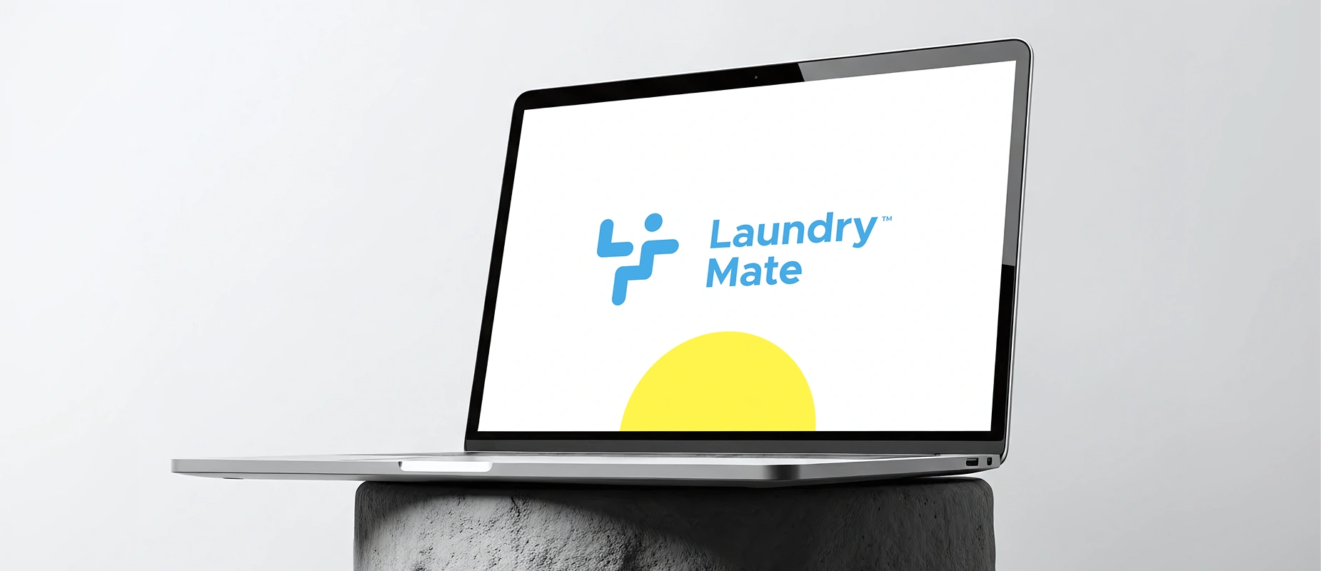 LAUNDRYMATE
